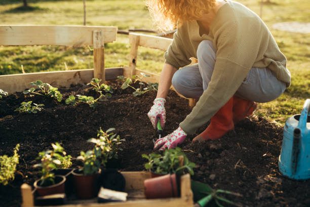 Gardening Service